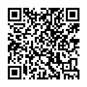 我之前的计划也因为萧子卓和林梦君的出现完全的打乱了二维码生成