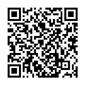 我也不想问你从玉壁里得到了什么力量了……我反正已经快死了二维码生成