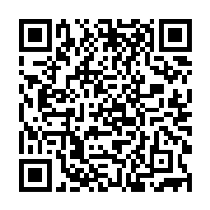 我也不知道为什么没到十年卓景就会遇到这些事儿了二维码生成