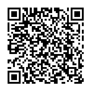 我也只是利用那原始妖气唤醒了他们血脉中女娲娘娘留下的力量而已二维码生成