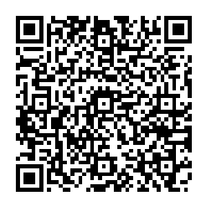 我也就熄了从守林人师父这里弄明白针对我的人是如何不露半分异样追踪我的念头二维码生成
