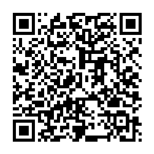 我也没想到现在在这海滩上还有白痴会在我特训的时候靠得这么近……二维码生成