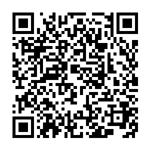 我也没想到闻名大夏国的猛鬼镇第一客栈的掌柜事实上却是一个魔修二维码生成