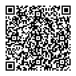 我也知道l但当时也是不得已l镇压军可以给我提供不小的助力l而且镇压军的势力在修士界算是泰山北斗〢二维码生成