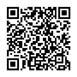 我买下所有的地皮就是要在东海建一条最大的商业一条街二维码生成