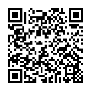 我今晚想在十点前睡――你是和我们一起走还是留下来二维码生成