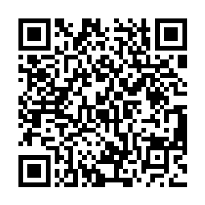 我以为你已经过了会被评论影响的阶段了――据我所知二维码生成