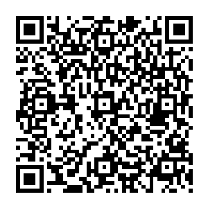 我以为我已经修得无欲无求不动凡心的境界了――可是这几天你知道我最盼望什么事情吗二维码生成