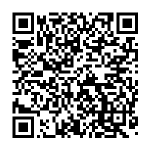 我以前也经常摸方梦影和方梦象的脑袋――不过这事儿确实因我而起二维码生成