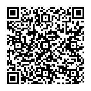 我以剑破先天 这是我最擅长 也是最强大的攻击方式 让你死在剑下 也算是看的起你 二维码生成