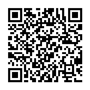 我以后肯定会有你的子嗣的嘛……你为何就是不信呢二维码生成