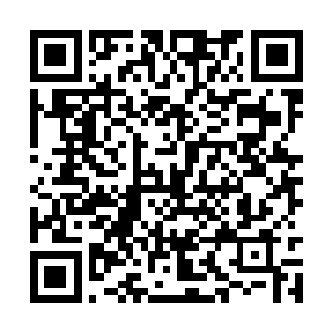 我们一定要阻止他们把修真界这边的势力拉拢过去二维码生成