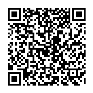 我们一开始的确想过自己补刀……只是每一次大当家您都会收拾的很妥帖二维码生成