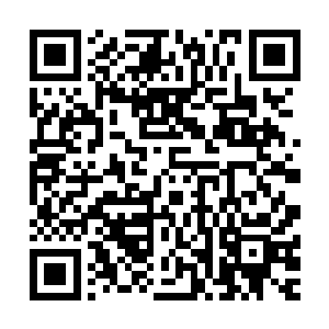 我们万界商盟的金总执事遭到了四大家族刺客卑劣无耻的刺杀二维码生成