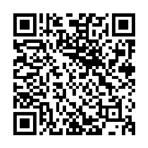 我们三足巨鹰族和你们金乌一族都已经和和气气地相处了这么久二维码生成