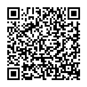 我们不妨透过表象重新思考一遍……假设封不觉真的想让我们加快行动节奏二维码生成