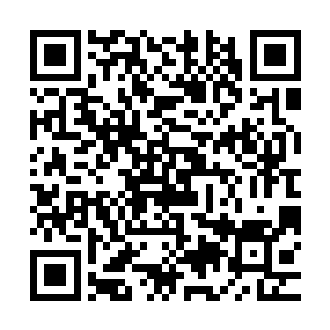 我们东南航空公司是一个有优秀企业文化和标准公司流程的公司二维码生成