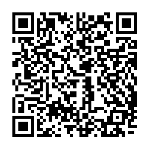 我们两个人手中的锁龙链就像是舞动的横条一般在空中组成了一张巨大的网二维码生成