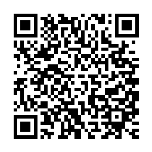 我们为什么一定要用这种办法查探萧天熠右臂上到底有没有胎记二维码生成
