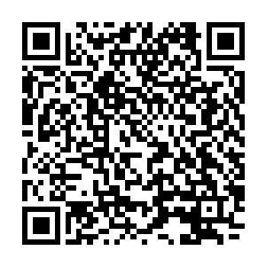 我们九大宗门和上元盟给你那么多的资源就是让你去南方建立一个三流小宗门吗二维码生成