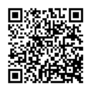 我们也听到那两个苗家的小鬼是用汉语叫我们去追他们的啊二维码生成