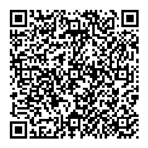 我们也探讨了法治社会建设对于巩固改革开放成果以及进一步加快改革开放乃至缔造新时代下新型现代社会体系的一些观点二维码生成