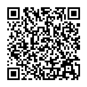 我们也是一点消息都没有……甚至可能早已经被深海中的海兽占据了二维码生成