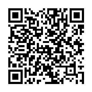 我们也是时候确定了一下出兵翡翠国的具体时间了二维码生成