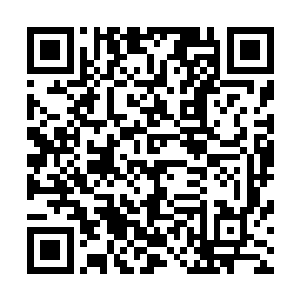 我们也没有准备放过他……只不过需要在打败你们之后……二维码生成