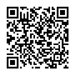 我们也要把他们留在这里……完颜阿骨打已经死了二维码生成