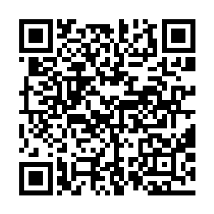 我们从国外引进的搜救船动力7号和动力8号已经强行出海二维码生成