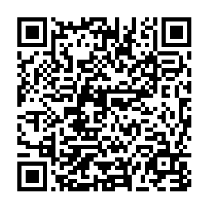 我们作为血统高贵的血族贵族是不能容忍随意被一个弱小的人族欺凌的二维码生成