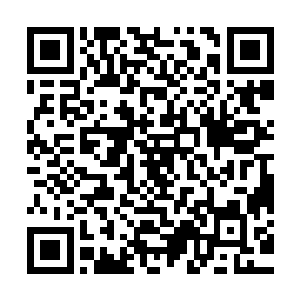 我们依附在你们隐魔门之下不是给你们当奴隶的而是寻求庇护的二维码生成