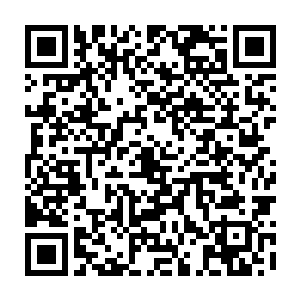 我们公司最近就正在为明年何润卿的演唱会和公司里几个新人的专辑做策划案二维码生成