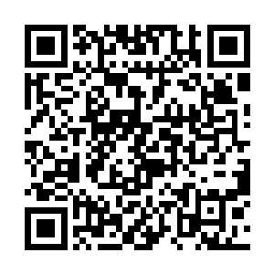 我们即将在戛纳的历史上留下一段精彩而独特的记录二维码生成