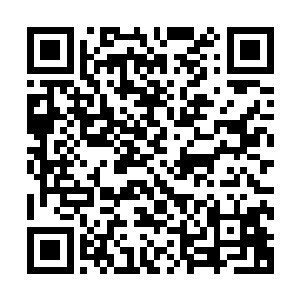 我们又把自己手头上所有的定位法镯几乎全部捐给了月瑶仙子二维码生成