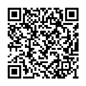 我们又陆续和几个项目签订了意向性的招商协议二维码生成