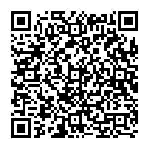 我们受到的创伤会比别脉更沉重……这也是我们为何在每个时代都一致维护帝君的原因二维码生成