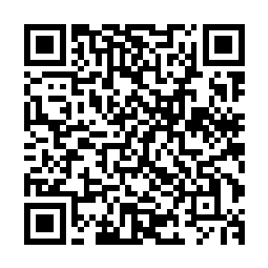 我们可以将所有的炼丹材料和炼器材料化为森罗万象的一部分二维码生成
