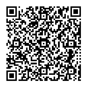 我们可以得出结论这种周期性的能量潮汐是虫洞通道为了维持本身稳定的而周期性爆发的特定现象二维码生成