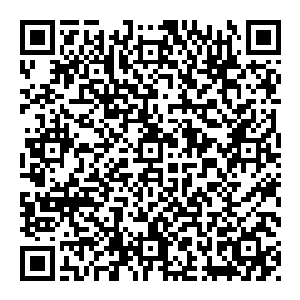 我们在和凤凰搏杀的时候被凤凰临死一击杀了12位大帝杨云这一击的力量强度接近那一击了我不在乎他能杀多少人只担心他的安危二维码生成