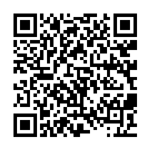 我们在这千幻洞府之中一时之间也找不到回去我们世界的方法二维码生成
