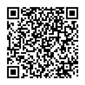 我们墨府和另外两大家族的先祖由于在端木神王的洞府中伤及了生命本源二维码生成