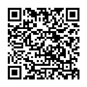 我们备下的火攻储备可是数十座山的木柴……以此为基础二维码生成