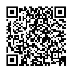 我们大致可以确定目标藏身在以这两栋大楼为主的建筑群之内二维码生成