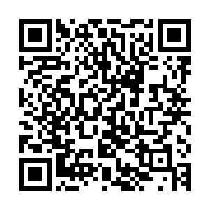 我们夫妻刚才是到山谷之中想要寻找几种珍稀的地下植物的种子二维码生成