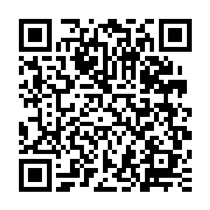 我们嫣然小宝贝的作文不也是满分么你怎么就不认为是自己呢二维码生成