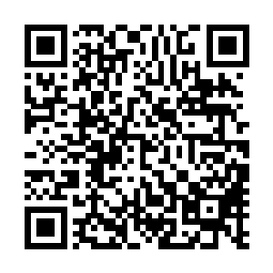 我们学校的几个男生跟几个地痞流氓不知为什么事打起来了二维码生成