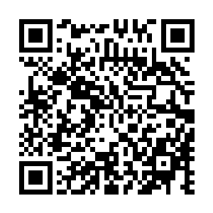 我们宇文家族对于林先生如何的管理下面的人向来都不过问二维码生成