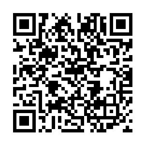 我们完全可以助你和你们杜家在华夏国甚至全球都叱咤风云二维码生成